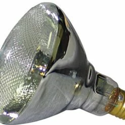 Lightronics BULB38-150 150W, 120V PAR Lamp