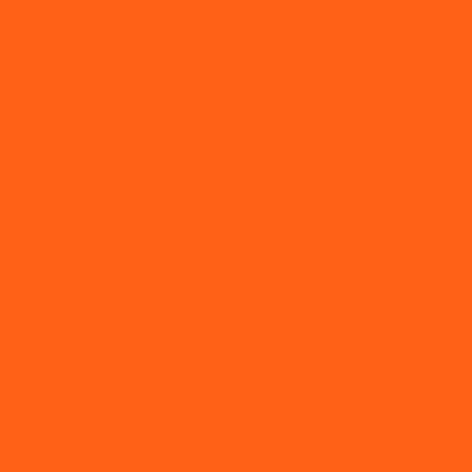 Rosco 05781 Paint Fluorescent Orange1Quart - Image 2