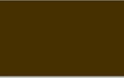 Rosco 05986-0032 1qt Of Raw Umber Vinyl Acrylic Paint